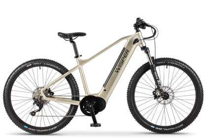 integrated battery ebike